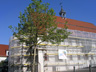Rathaus in Langenau
